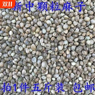 ���w���������Bʳ�B�Z �W�^�Z���Z�����ʂ}��Z500g �����ӻ�����