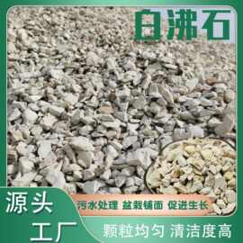 白沸石污水处理用大块吸氨值高土壤改良园艺栽培绿白净水