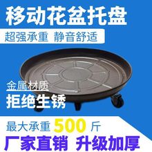 �Ӻ�Ӵ��F݆�����г������ؿ��Ƅ��бP�lؔ��