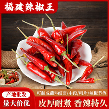 福建原产地辣椒王香辣卤菜皮厚耐煮辣椒王纯干货批发地道产红辣椒