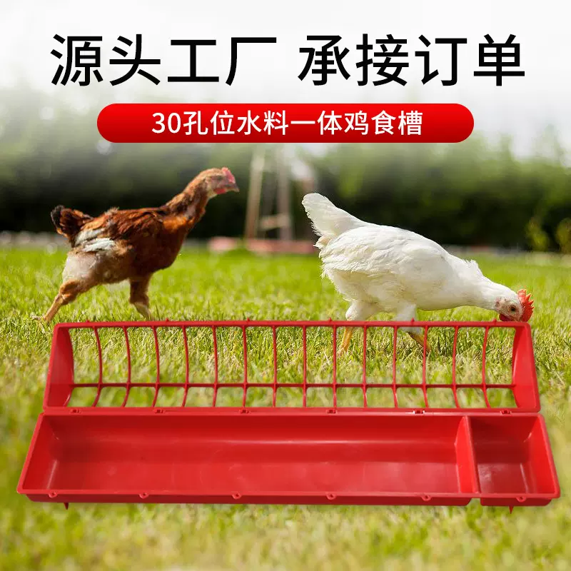养殖食盒鸡食槽水槽一体喂鸡神器长方形鸡料桶喂鸭鹅料槽食盆家禽
