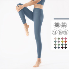 2024¿W\ӽLѝ oξиo٤ѝ