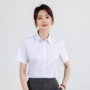 夏季女短袖新款职业白衬衫