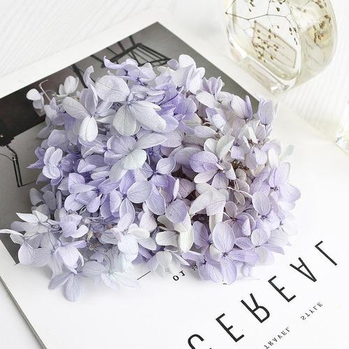 Domestic mid-leaf wood hydrangea single gram glue floating flower material package preserved flowers dried flowers multi-color