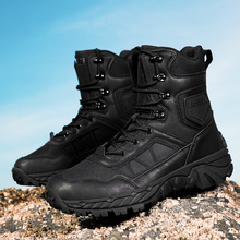 �¿�羳��a���I���gѥ�й��b����������qţƤ�Ў͵�ɽҰ����ĥ