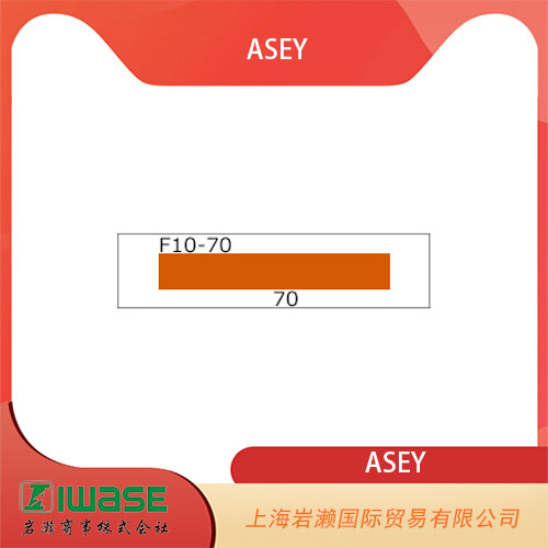 ASEY浅井工业，重型大型温度标签（不可逆）F10-65/10-70