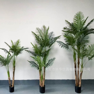 ������䎧Ƥ�������ÿ��پGֲ���ԼҾ��b�ɢβ�����Pβ�������l