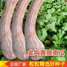 ���h�ϹϷN�Ӵ�ȫ���Ϲ���ͥԺ�ļ��ɷNֲ�߲˷N�ӳ���Ŵ�߮a��Ʒ