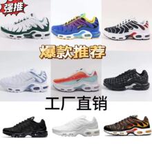 ЬTN羳Q|ЬMax Plu͸pЬeЬpĥ\