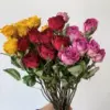 Random color matching 10 pieces