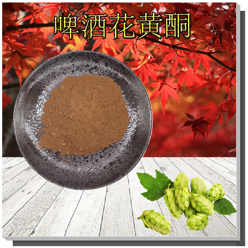 啤酒花黄酮2%~20%含量支持检测啤酒花总黄酮无中间商啤酒花提取物