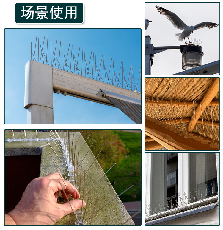 防鸟刺_07.jpg