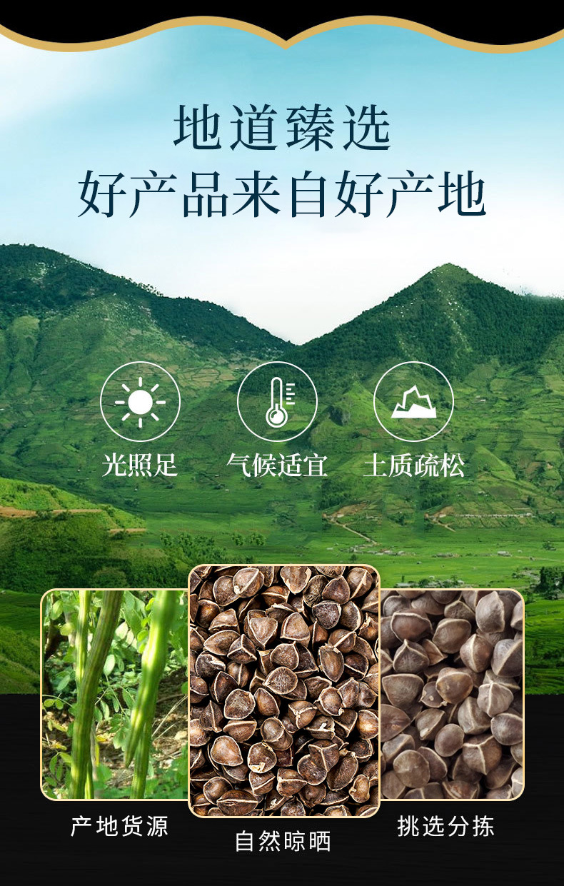 Moringa Seeds (Moringa oleifera) — La Mu Zi Dried Food Herb, 500g overview