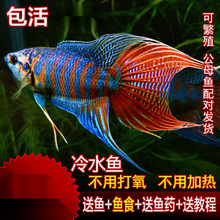 �Ї����~���~Ұ���ղ��ͺ���ˮ�~��ˮ�~�������ⲻ�ӟ��^�p�~���~