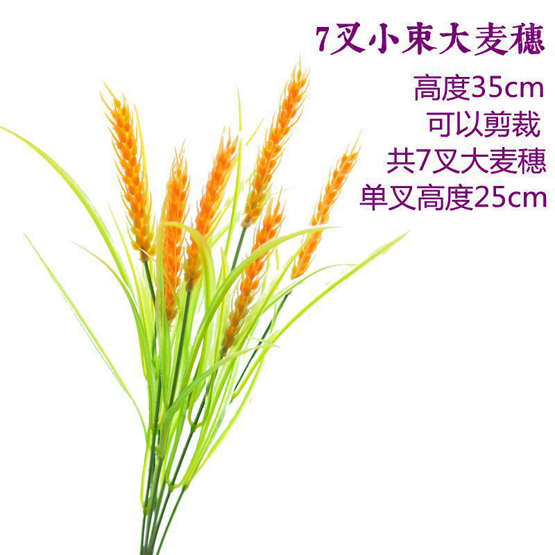보리 7개