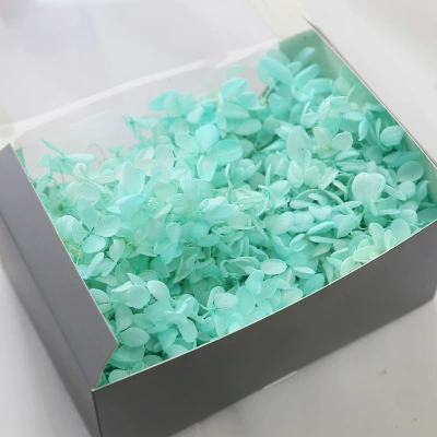 Вечной жизни глиняный горшок гимнастика 20G День Святого Валентина DIY цветочный материал Средняя лотос Строка Производитель оптом большой объем