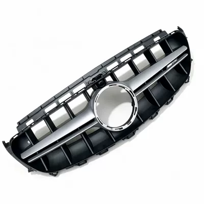 grille, hood, and fenders, Big Surrounded - amg-silver-front-grille