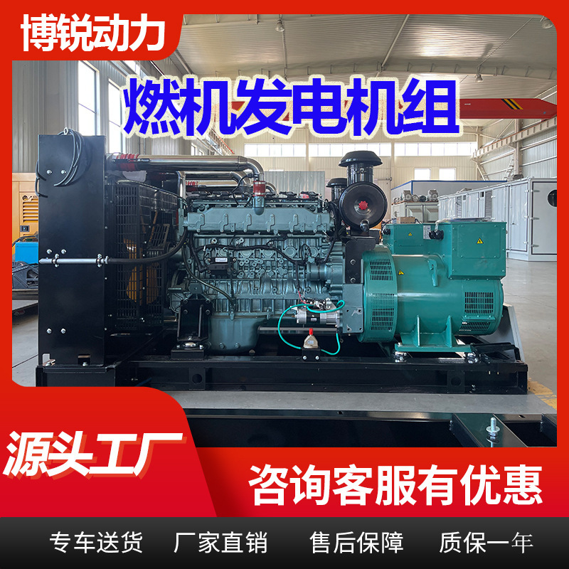 200kwガス発電機セット250 300キロワットメタンガス天然ガス発電機メーカー|undefined