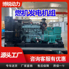 200KW燃气发电机组 250 300 400千瓦沼气天然气发电机生产厂家