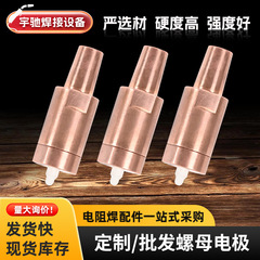 メーカー溶接機電極ヘッド M5M6M8M10 スポット溶接機スプリング位置決めピン溶接アクセサリーナット電極
