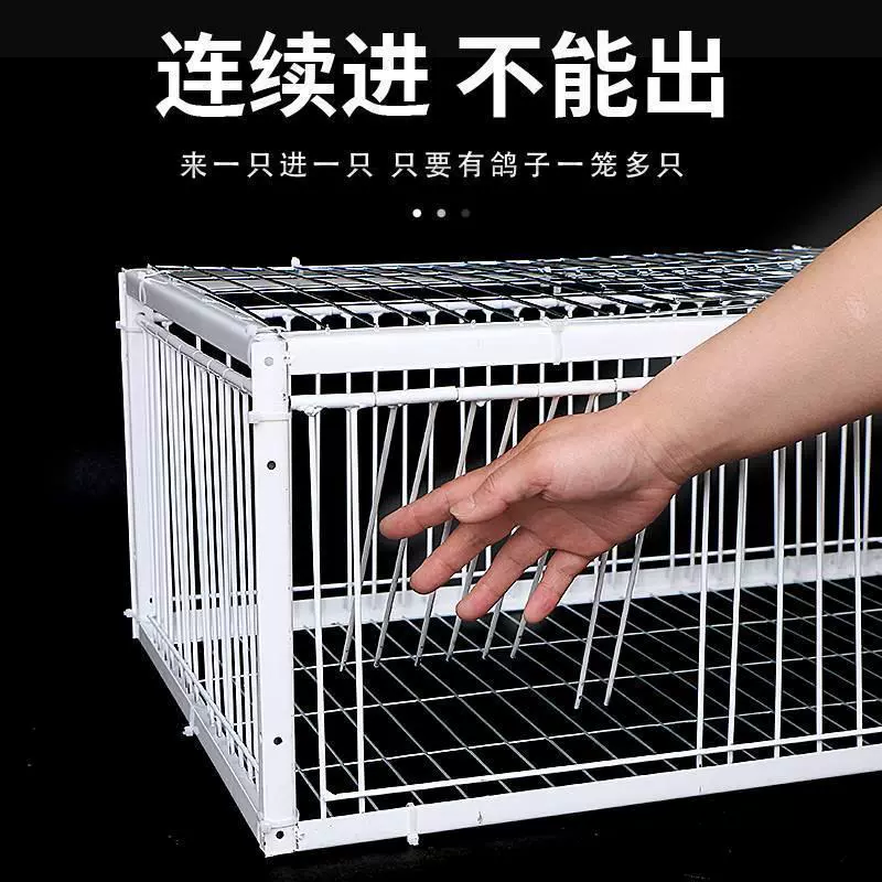 Новая модель утолщенной и зашифрованной автоматической клетки для голубей с распашной дверью для использования на открытом воздухе, только вход, без выхода.
