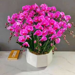 �����m���玧�������Կ͏d�҃��m�������^��ֲ���ļ��_�����B��