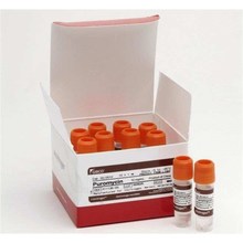 GibcoA1113803嘌呤霉素盐酸盐10x1mL/盒
