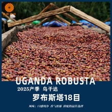 ���]�����_�M���_��˹��18Ŀ����������ʽ��ʽ�̘I��2025�®a��