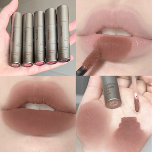 Cappuvini Concentrated Lip Glaze Matte Lip Glaze Lip Gloss Affordable Autumn and Winter Student Female Velvet Domestic Makeup Lipstick
