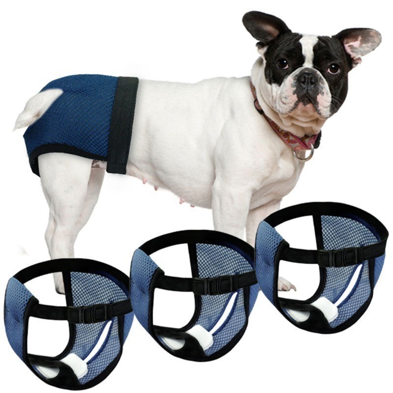 犬の交尾防止嫌がらせ神器ペット犬生理ズボン生理日叔母安全ズボン雌犬専用|undefined