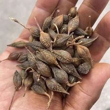 ����؎X�B�N�� �B�N �B�N�� �B�����N���S�B�N��