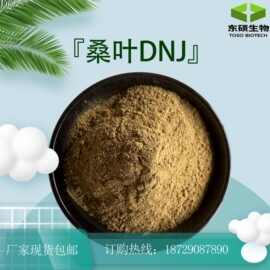 桑叶1-DNJ 5% 桑叶粉 桑叶提取物 桑叶多糖 桑叶黄酮 现货供应