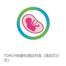�T������ TORCH����z�yԇ���У�����оƬ����ʹ�÷���������κ�