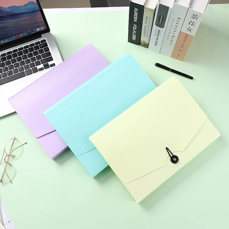 Фрисби стиль пряжки орган мешок папка большой емкости классификации информации мешок Тест бумаги хранения файла сумка может быть настроена