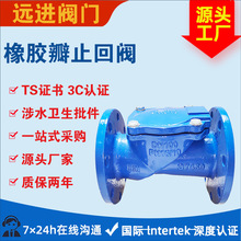 ���z��ֹ���yH44X���m���z��ֹ���yQT450���|DN50 65 100Ҏ���Rȫ