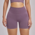 Mist Purple