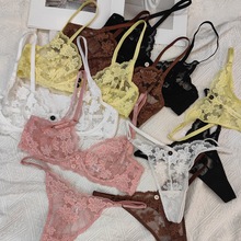 新款跨境欧美外贸性感刺绣蕾丝内衣夏季超薄透视大胸显小文胸套装