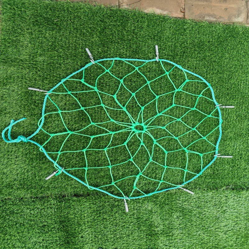 Гарвард, спор на диване на карточке с едой