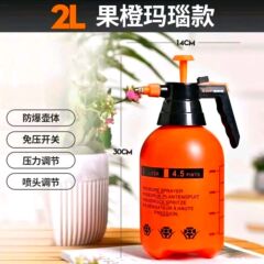 加厚高压园艺喷壶 浇花喷雾花洒 气压式喷水壶 洗车喷壶 2L/个