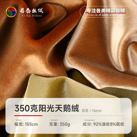 350g阳光天鹅绒面料 涤氨弹力丝绒布 秋冬外套裤子服装沙发面料
