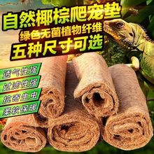 ����Ҭ�؉|�����������|����B��|���ת{�������x�{����Ҭ�؉|