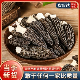 香菇;黑木耳;蘑菇