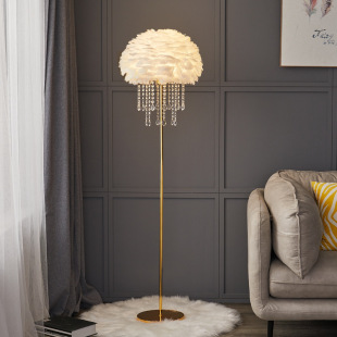 Floor Lamp Feather Crystal Light Luxury Nordic Living Room Sofa Bedroom Bedside Bedside Internet Celebrity Live Room Warm Vertical Lamp