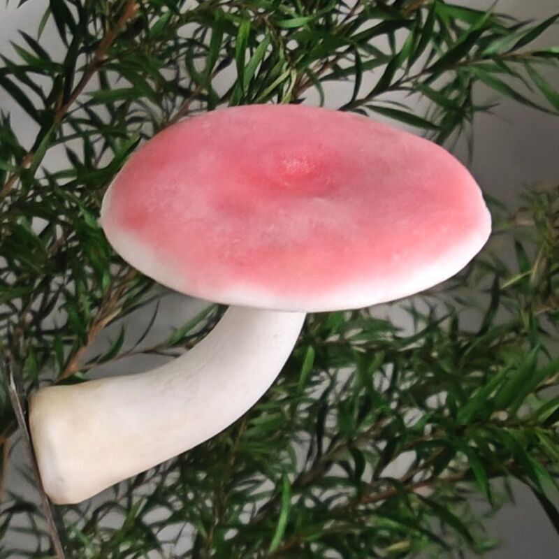 云南野生菌冰箱贴 手工制作 磁铁冰箱贴 蘑菇冰箱贴 冰箱贴磁吸式|undefined