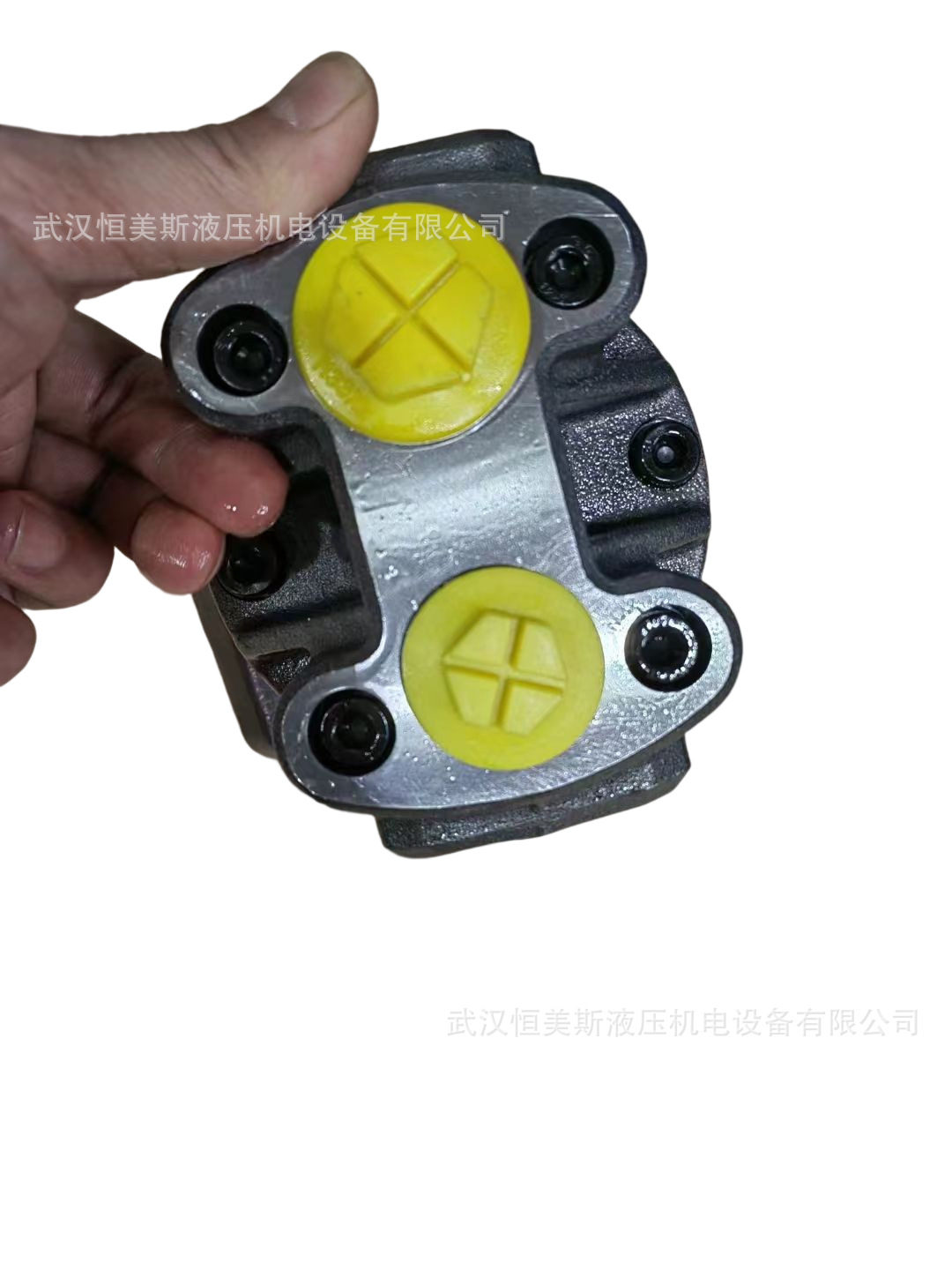 德国REXROTH力士乐柱塞泵A4VSO180EO2/30L-PPB13N00