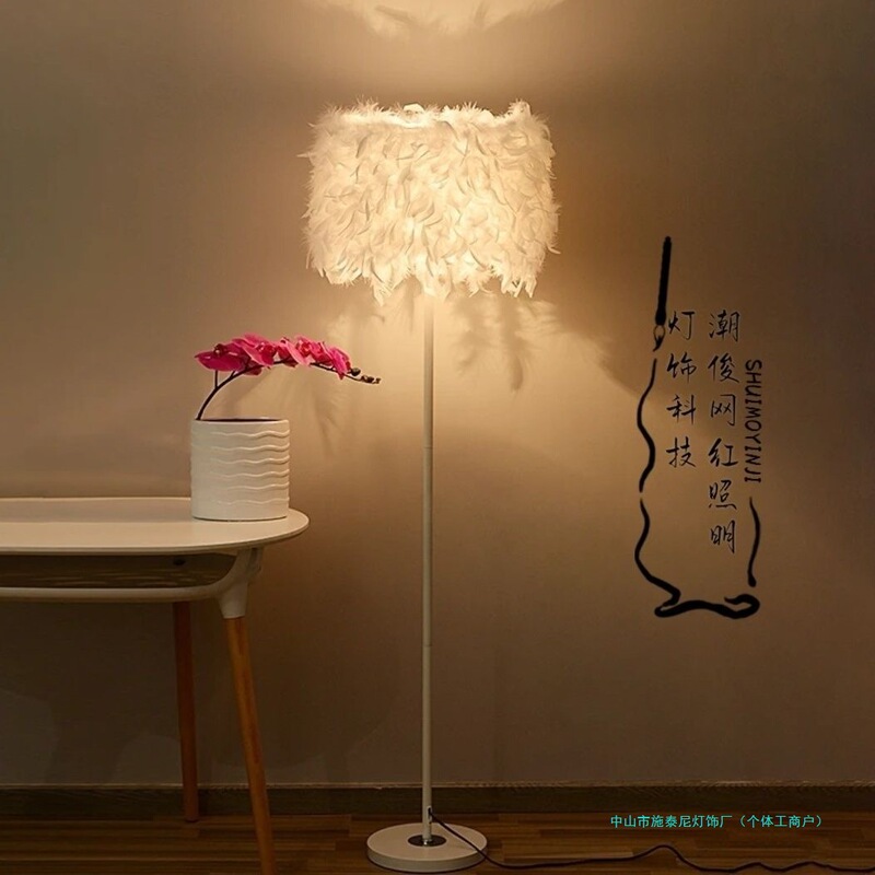Crystal Feather Ins Creative Floor Lamp for Weddings, Living Room, Study, Bedroom, Bedside Table Lamp, Beauty Streamer Fill Light Crystal Feather Ins Creative Floor Lamp for Weddings, Living Room, Study, Bedroom, Bedside Table Lamp, Beauty Streamer Fill Light