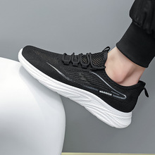 ��Ь2025�괺���¿�͸���w��ϵ�����e�������l����ɢ���\��Ь