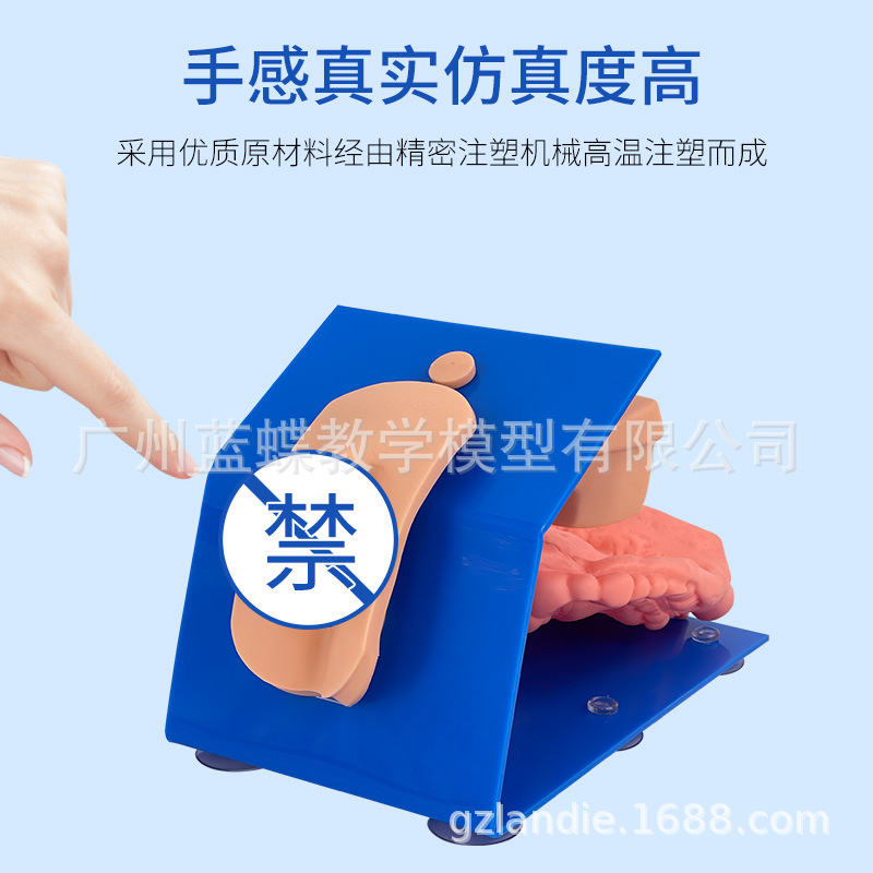 �߼���װʽ���Ե���ģ������ʵ����ʾ�̲���ѵ��ģ�߿ɴ���