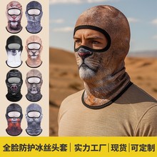 �ļ��羳���zȫĘ���֑����T�з��Lɳ��������^�ה��aӡ�������^