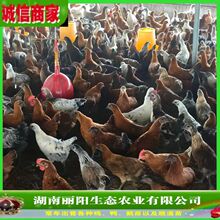 ���l�u����w�G�����u���s���u��Ѫ��G�����u���r����BС�_���u